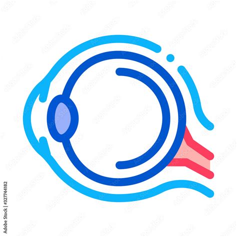 Human Eyeball Anatomy Organ Icon Thin Line Vector Health Eyeball