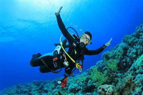 9 Scuba Diving Jobs You Might Not Have Considered