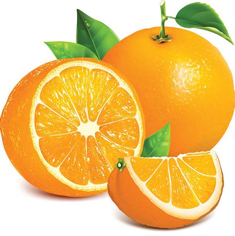 Top 60 Orange Fruit Clip Art Vector Graphics And Illustrations Istock