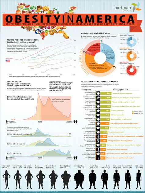 Infographic Obesity In America The Hartman Group