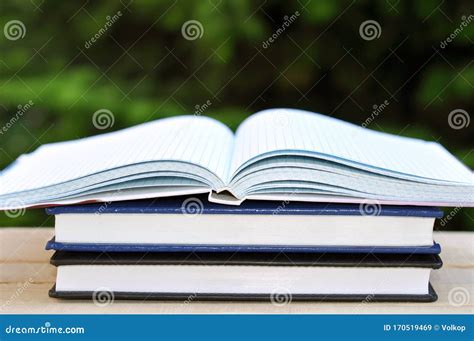 Book With Open Empty White Pages On The Table Over Green Nature Stock