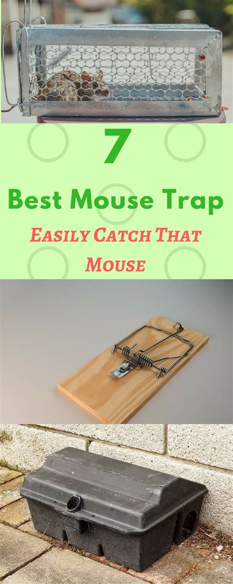 05 Best Mouse Trap Reviews 2021 Pros Cons Types Of Mouse Traps Best