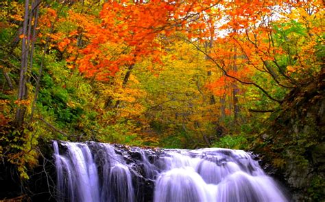 Beautiful Waterfall Pictures Autumn Waterfalls Autumn Forest