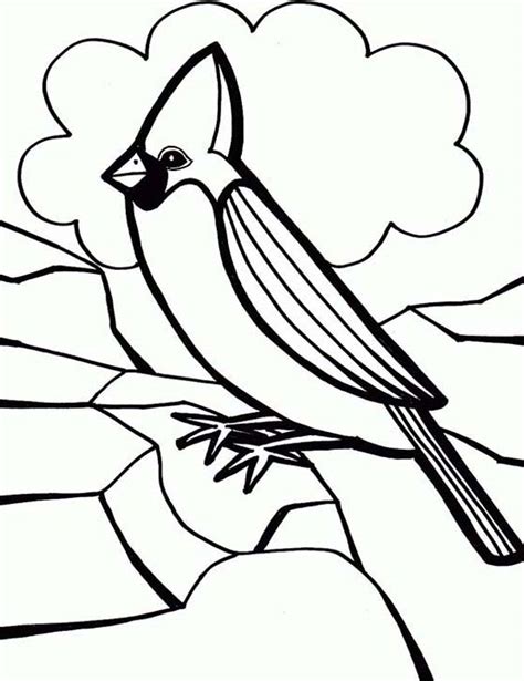 birds northern cardinal coloring pages png  file