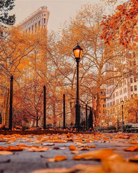 Nyc Fall Wallpapers Top Free Nyc Fall Backgrounds Wallpaperaccess