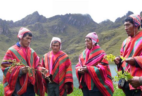 Perú Es Líder Mundial En Protección Intelectual De Conocimientos