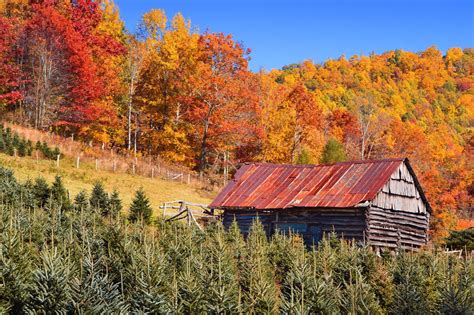 Plan A Fall Escape To The Mountains Of North Carolina