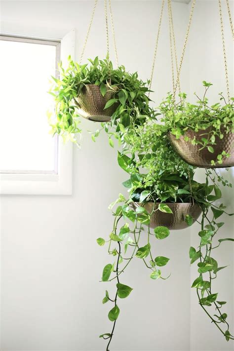Indoor flowers for beginners and how to care for them. Easy Hanging Planter DIY - A Beautiful Mess | Plant decor ...