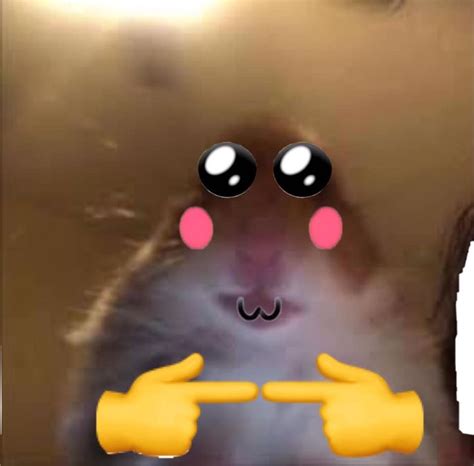 Shy Hamster Cute Face Facetime Tiktok Aesthetic Uwu Owo Ew