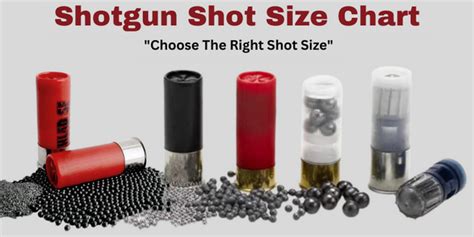 Sg Vs Bb Shotgun Cartridges 48 Off