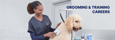 Grooming and training