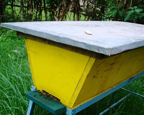 A top bar hive can be homemade out of whatever junk you have lying around or can find and bring home. The Peace Bee Farmer: Top Bar Hives