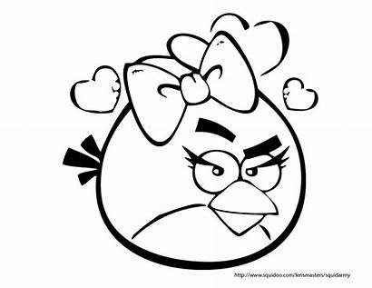 Angry Birds Coloring Pages Bird Printable Pink