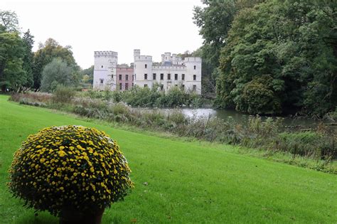 The most meise families were found in the usa in 1880. Plantentuin Meise opent vanaf 8 mei opnieuw de deuren ...