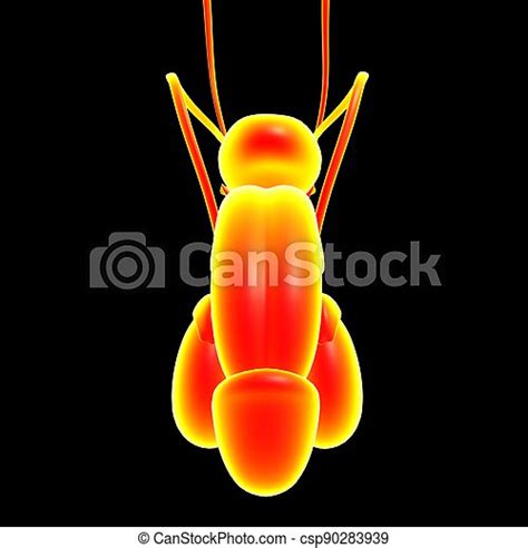 Male Reproductive System Images Search Images On Everypixel
