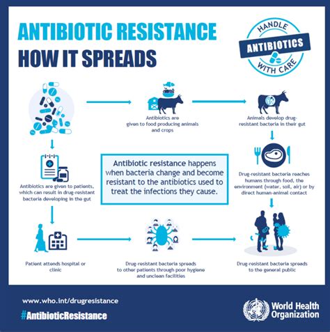 How Does Antibiotic Resistance Develop And Spread