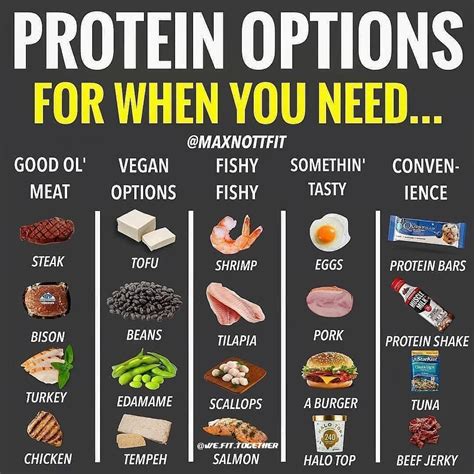 Protein Options By A Good Amount Of Foods Have Protein In Them But The