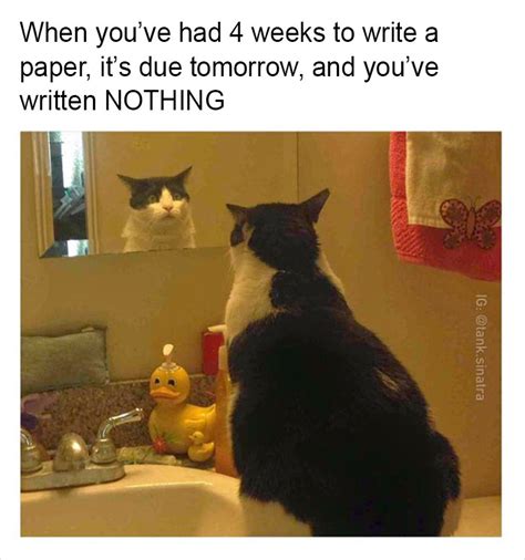 15+ Funny Memes By Tank Sinatra | Bored Panda