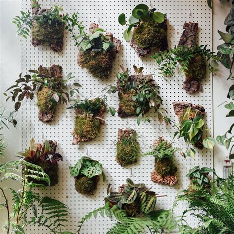 Everything You Need To Know About Creating A Living Wall Vertical