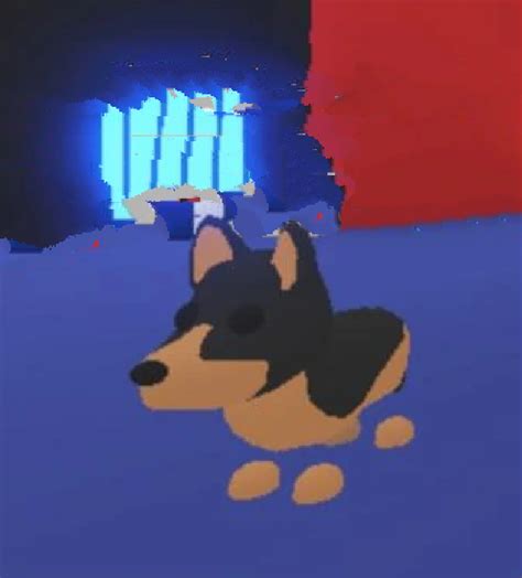 Tap on the button and copy and paste or manually enter any of the codes from above. Australian Kelpie | Adopt Me! Wiki | Fandom
