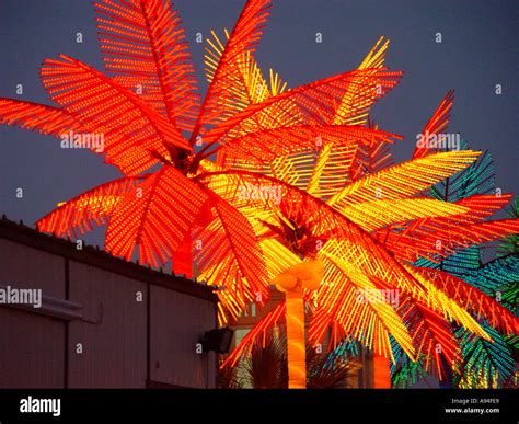 Neon Palm Trees In Arabia Stock Photo Alamy