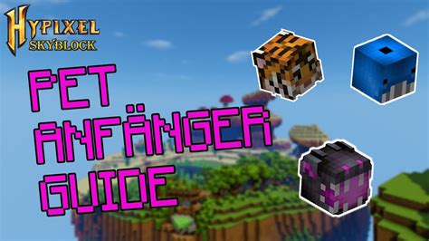 Pet Anfänger Guide | Hypixel SkyBlock Deutsch - YouTube