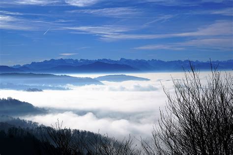 Free Images Landscape Tree Nature Horizon Wilderness Snow