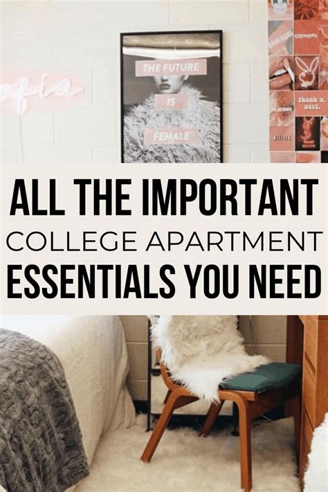 Ultimate List Of College Apartment Essentials Every Student Should Have