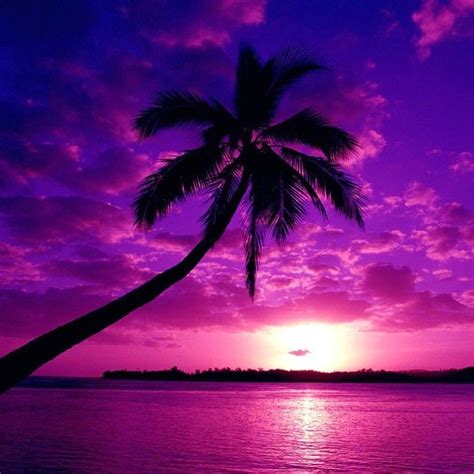 A Purple Sunset Beautiful Pinterest