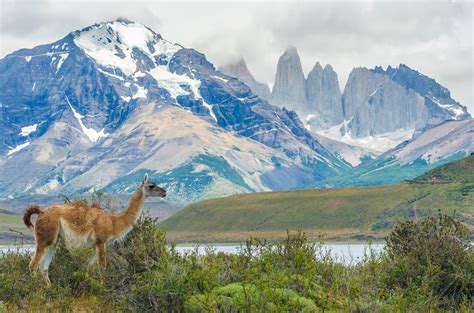 Chilean Patagonia North And South Chile Tour Package