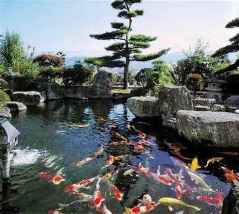 40 gambar kolam ikan minimalis kolam desainrumahnya com 40 gambar kolam ikan minimalis kolam ikan koi kolam ikan hias dan taman kolam ikan desain kolam ikan minimalis diluar rumah sebuah rumah dengan taman di halamannya akan terasa sangat menyenangkan apalagi jika rumah. ツ 45+ contoh desain kolam ikan hias minimalis sederhana