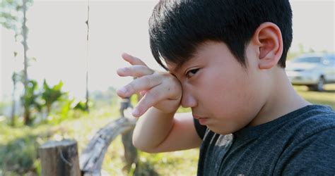 Asian Boy Crying In Garden Stock Video Footage Storyblocks