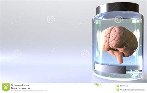 Human Brain In A Jar 3d Rendering Scientific Lab Study Or