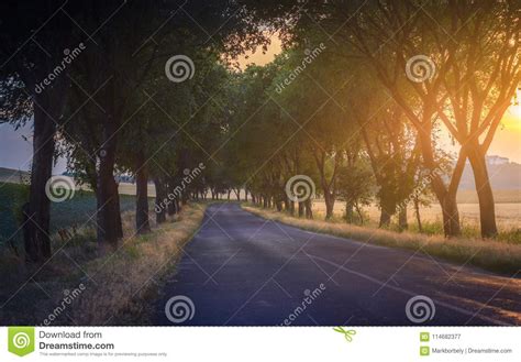 Country Road On Sunset Time Stock Image Image Of Nature Asphalt