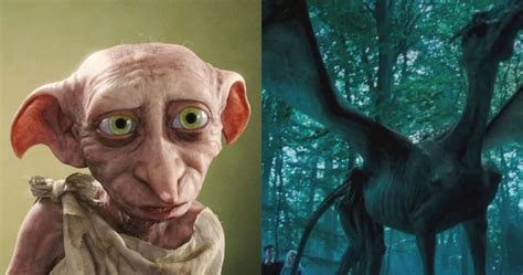Harry Potter Creatures We D Want As Pets We Definitely Would Not