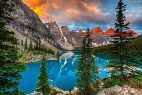 Tapety Zdjęcia Prowincja Alberta Kanada Świerki Jezioro Moraine