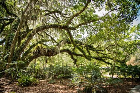 20 Beautiful Hikes In Tampa Bay Everyone Should Explore Tampa