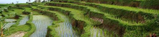 Carbon footprint and climate change studies. Irrigation and Drainage - TU Delft OCW