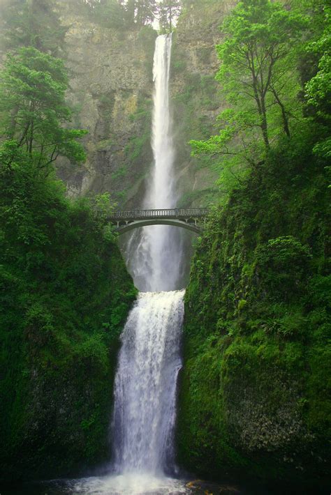 In the movie, forks is shown to be a rather small town with dodgy weather and impressive forestry. Splendid Waterfalls of the World