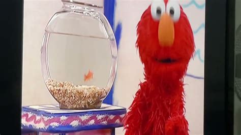 Elmos World Friends Intro Youtube