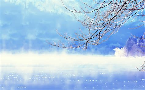 Free Download Beautiful Winter Background Wallpaper High Definition