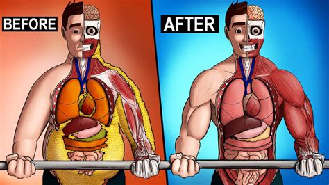 What Happens To Your Body From Exercise