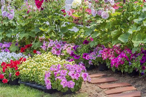 Categories:attorneys, garbage containers & dumpsters, landfills & transfer stations, sanitary landfills, waste management. Flower Planting Ideas in Springfield Illinois ...