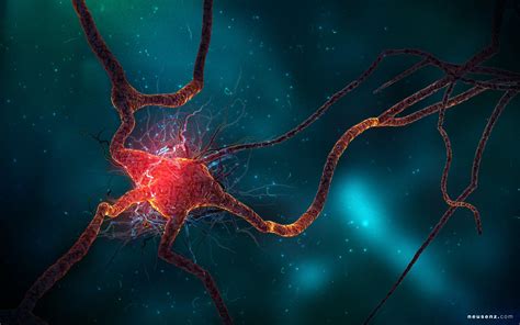 Neurons Wallpapers Top Free Neurons Backgrounds Wallpaperaccess