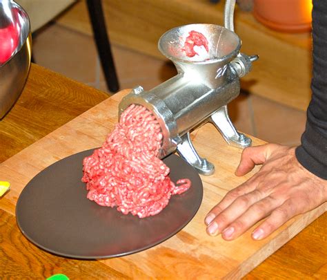 What human food can cats eat, and what not to feed cats. Manual Meat Grinder - 2 years of use | Meow Lifestyle