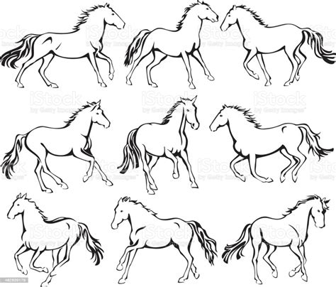 Wild Running Horses Line Art Stock Vector Art And More