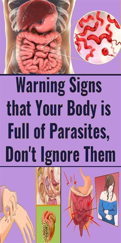 Warning Signs That You Have Parasites In Your Body And How To Destroy Them Naturally Parasite
