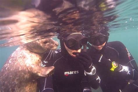 7 Great Spots For Snorkeling In San Diego Scuba Diver Girls