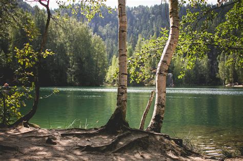 See all the best czech republic nature & adventure tours. Lakeside Nature in Czech Republic Free Stock Photo | picjumbo