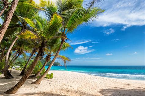 Hawaiian Beaches